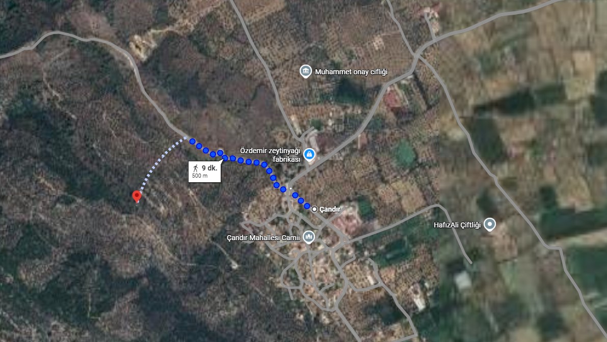 MUĞLA MİLAS ÇANDIR KÖYÜNDE 6.847 M² ZEYTİNLİK SATILIKTIR. - MUĞLA MİLAS fotoğraf 2